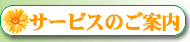 サービスのご案内